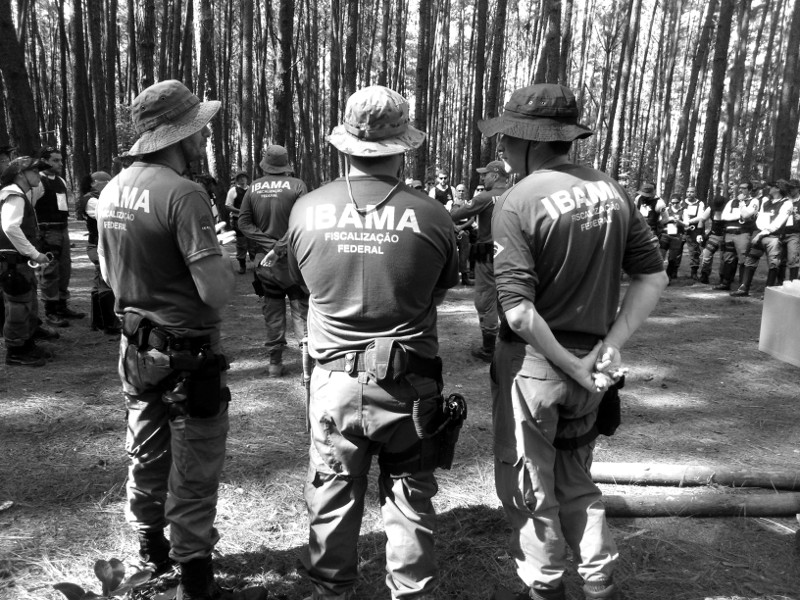 Curso de Fiscalização Ambiental Foto: Ibama