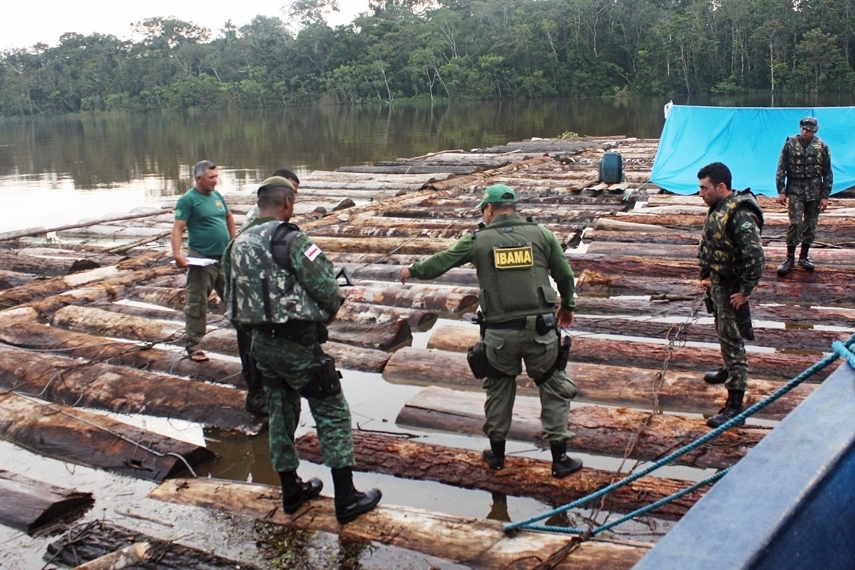 Apreensão de toras na fronteira com o Peru em operação que envolveu Ibama, Exército, Funai, PF e PM do Amazonas