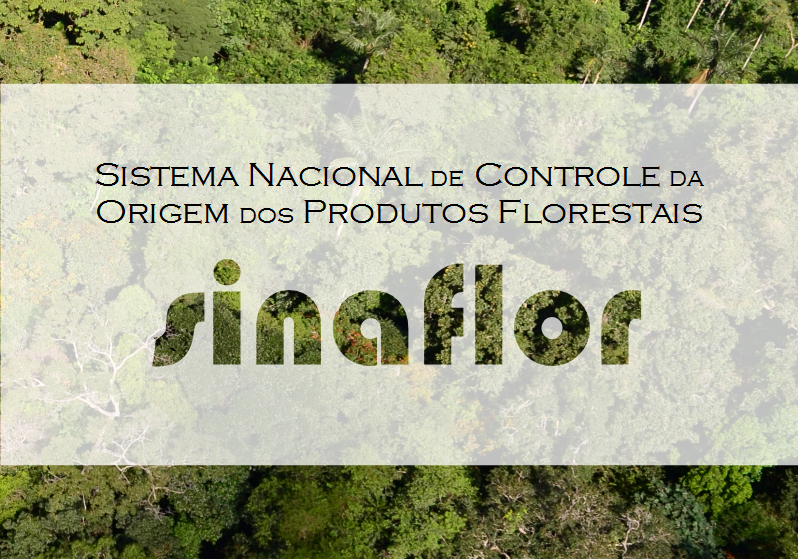 Sistema Nacional de Controle da Origem dos Produtos Florestais (Sinaflor) Arte: Ascom/Ibama