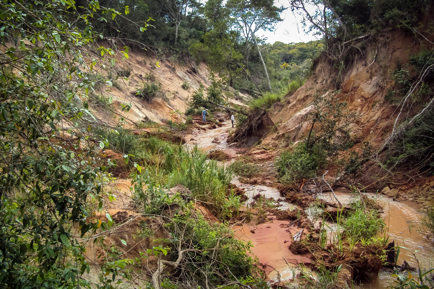 Danos ambientais causados pelo rompimento de represa no córrego Dinarte, na terra indígena Cerrito. Foto: Ibama