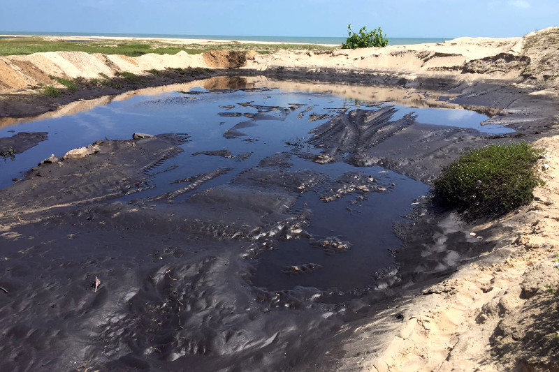 Praia do Pecém é atingida por acidente ambiental envolvendo carga de carvão mineral