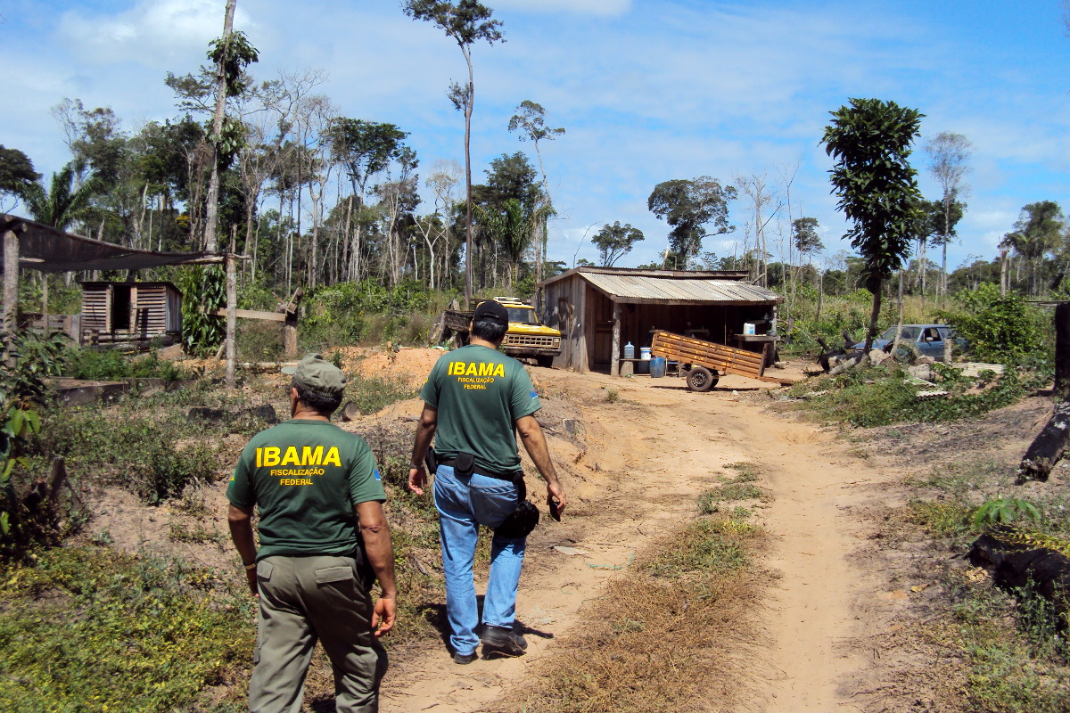 Agentes do Ibama fiscalizam terreno invadido por grileiros no MT