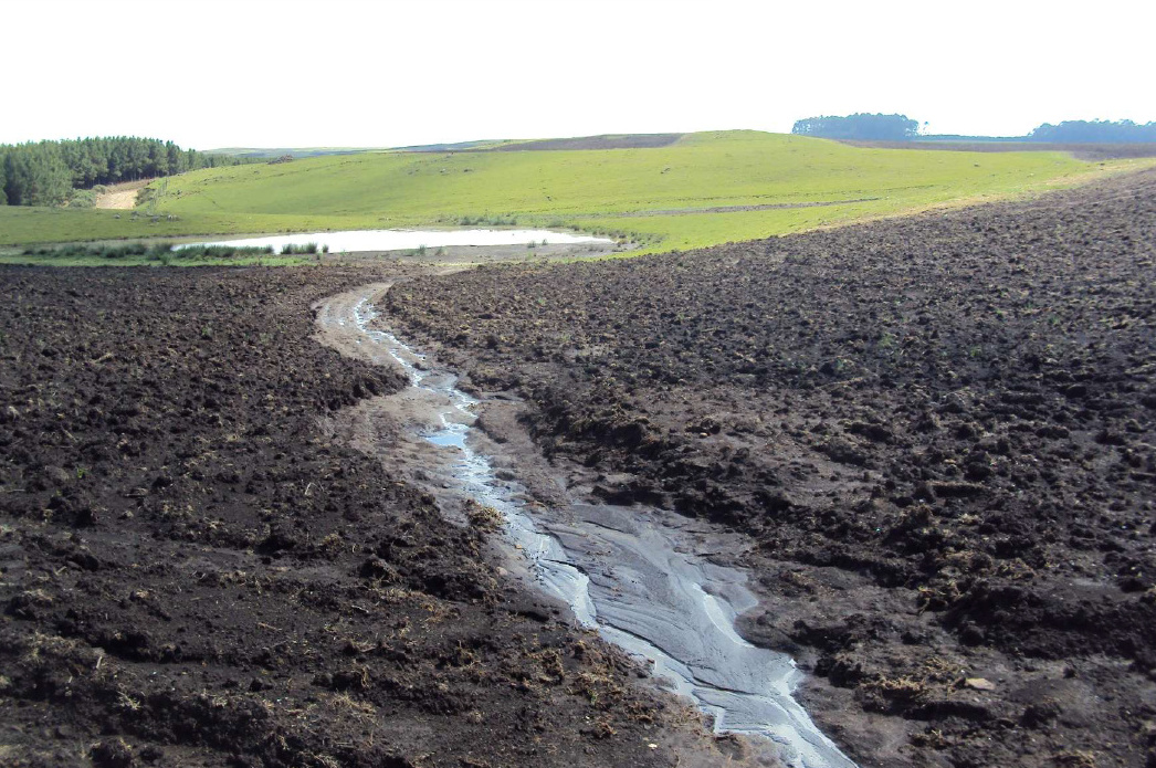 Ibama embarga 1,2 mil hectares por supressão ilegal da Mata Atlântica e aplica R$ 9,4 milhões em multas no RS