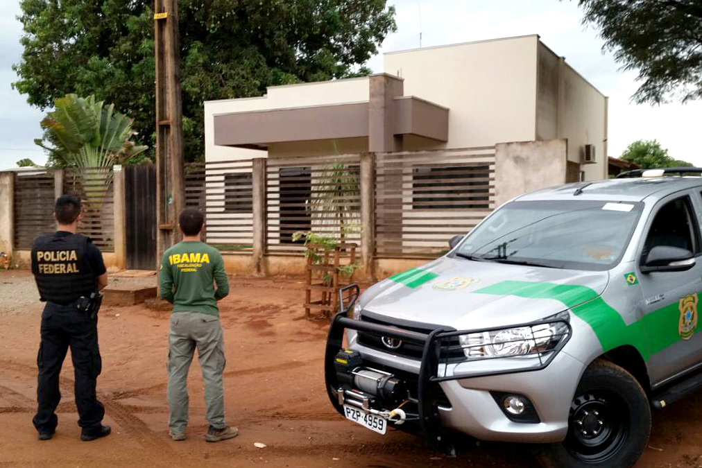 Agentes do Ibama e da PF vistoriam alvo da operação Floresta Virtual, em Mato Grosso