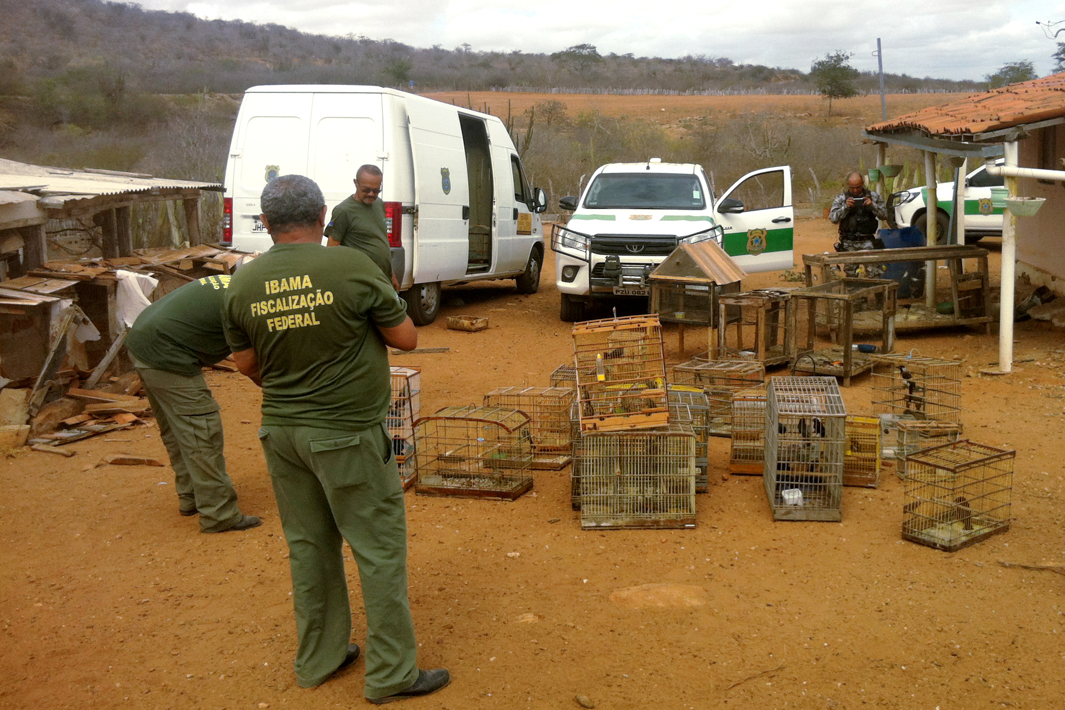 Agentes ambientais fiscalizam feira no sertão da Paraíba Foto: Ibama