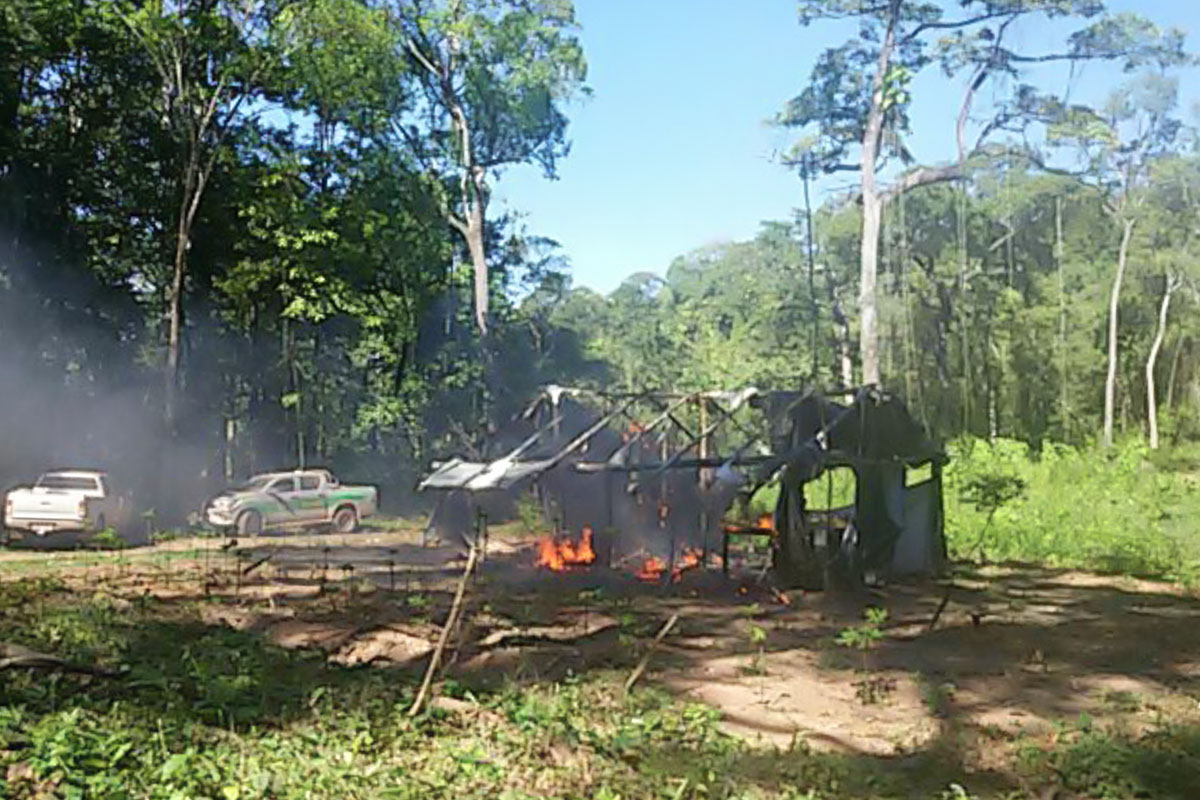 Ibama desativa casa construída por invasores na Terra Indígena Urubu Branco (MT). Foto: Ibama