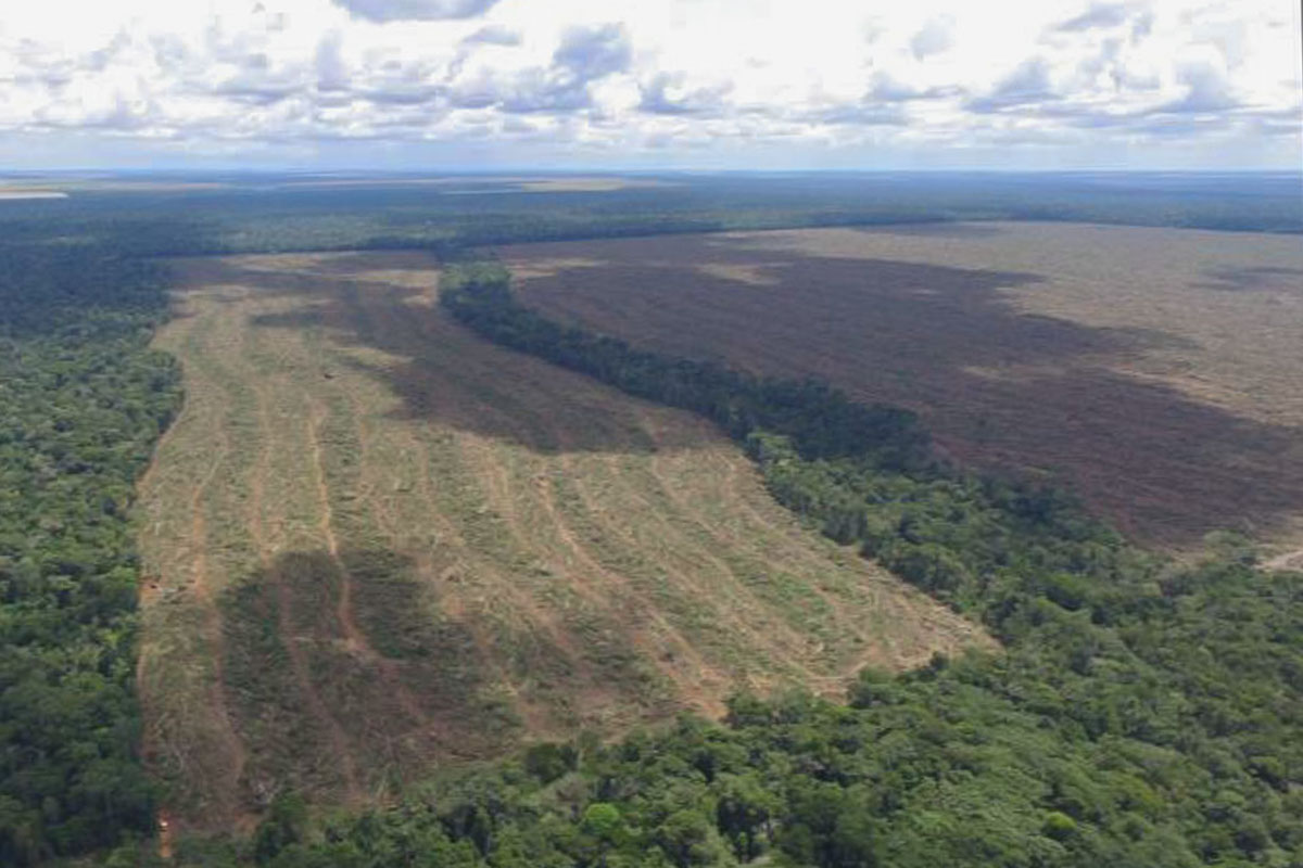 Agentes do Ibama e técnicos da Jaxa confirmam com o uso de drones corte raso detectado por satélite