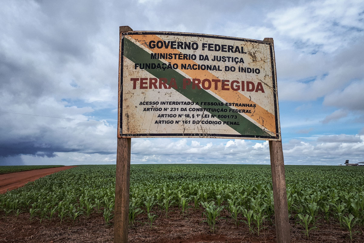 Operação do Ibama combate plantio de transgênicos em Terras Indígenas no oeste de MT