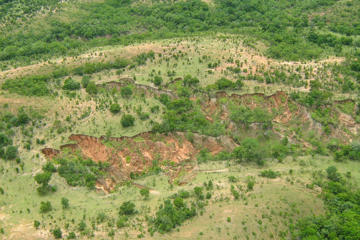 Foto: Ubirajara Pires/Ibama