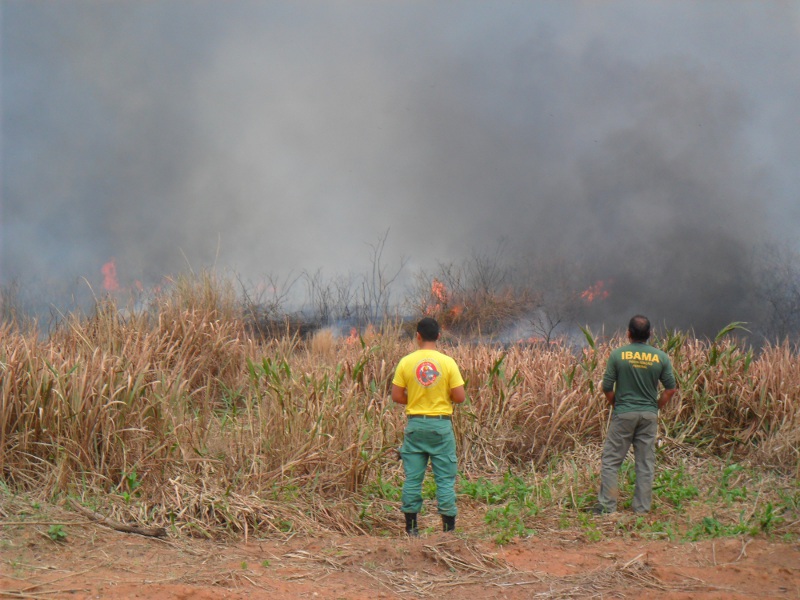 Ibama deflagra operação de prevenção ao desmatamento com o uso do fogo