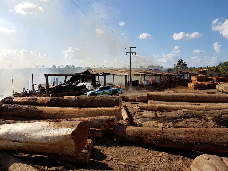 Ibama e PF realizam Operação Hymenaea no Maranhão e destroem 21 serrarias