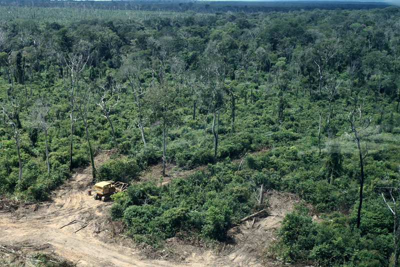 Ibama interrompe grande desmatamento próximo do Parque do Xingu e apreende frota de maquinário