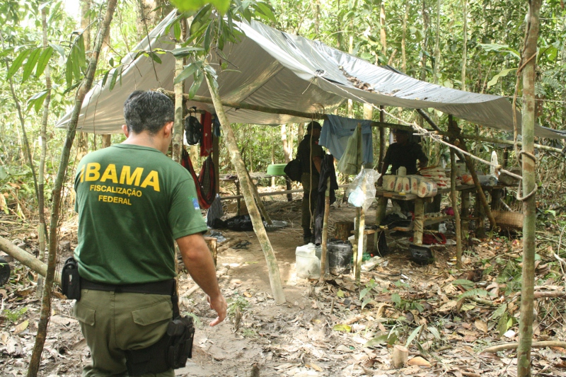 Desmatamento de 3 mil hectares é impedido pelo Ibama no Pará