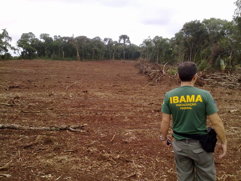 Fiscalização do Ibama no Centro Sul do Paraná resulta em apreensões e mais de um milhão de reais em multas