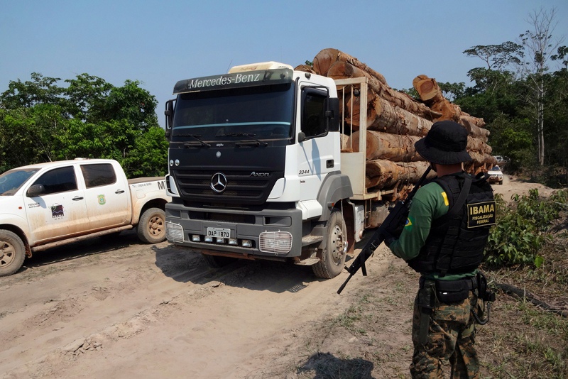 Ibama flagra grupo criminoso extraindo madeira de terra indígena em Mato Grosso