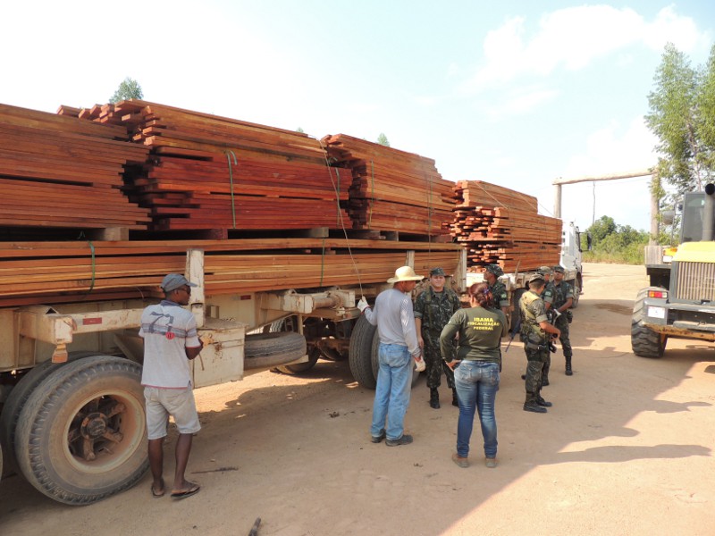 Ibama apreende mais de 5,3 mil metros cúbicos de madeira ilegal em Rondônia