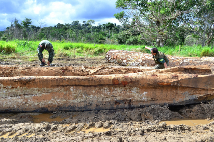 Operação de fiscalização verifica madeiras em toras apreendidas | Terra Indígena Kaxarari/AM