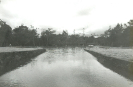 Piscina I Parque Nacional de Brasília