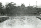 Piscina I Parque Nacional de Brasília