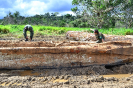 Operação de fiscalização verifica madeiras em toras apreendidas | Terra Indígena Kaxarari/AM