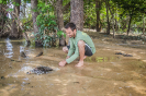 Soltura de Tartaruga-da-amazônia apreendida (Podocnemis expansa) | Novo Mundo/GO