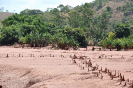 Desastre Samarco