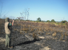 Licenciamento Ambiental Ibama | Linha de Transmissão, LT Xingu-Miracema