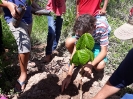 Educação Ambiental