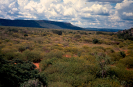 Parque Nacional Serra da Capivara - Piauí/PI