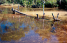 Lagoa | Parna do Pau Brasil