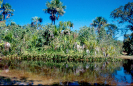 Lagoa  | Parna do Pau Brasil