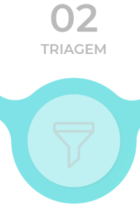 Triagem e enquadramento Etapa 2 - Triagem e enquadramento