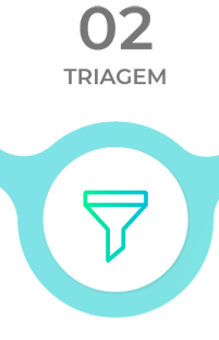 Triagem e enquadramento Etapa 2 - Triagem e enquadramento