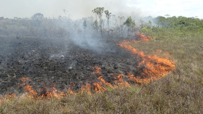 Incêndio florestal na Amazônia é controlado pelo Prevfogo