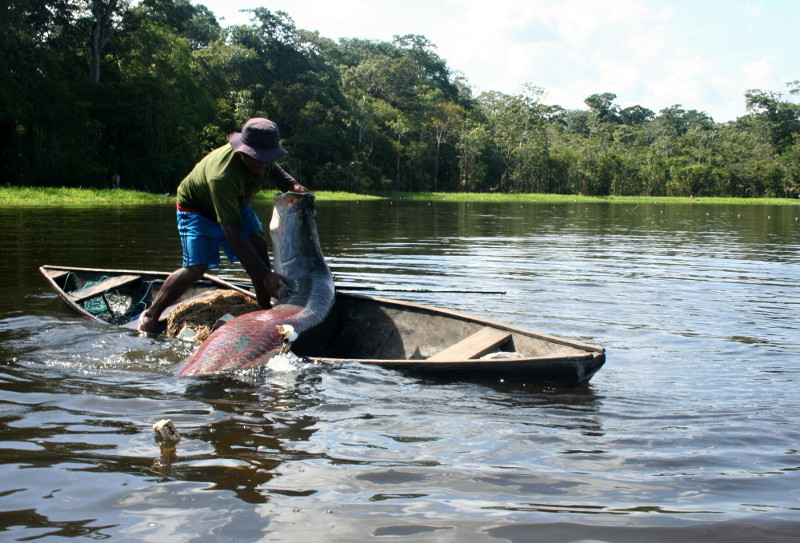 Majeno Foto: Ibama
