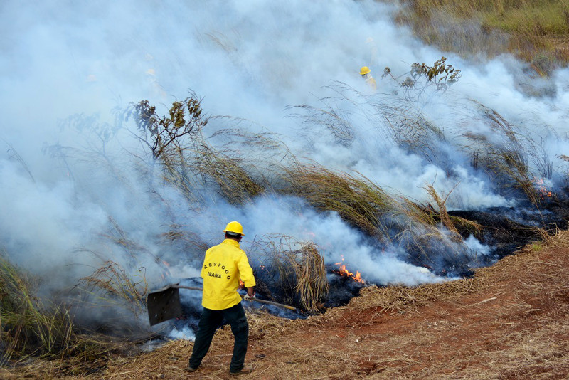 Brigadista em ação Foto:Ibama
