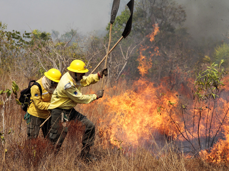 Combate a incêndio Foto:Ibama