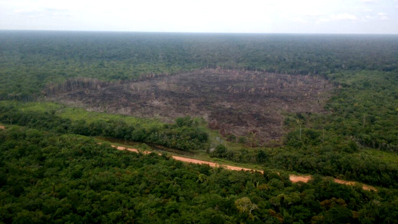 Ibama embarga 2 mil hectares ao longo da BR-319 Foto:Ibama