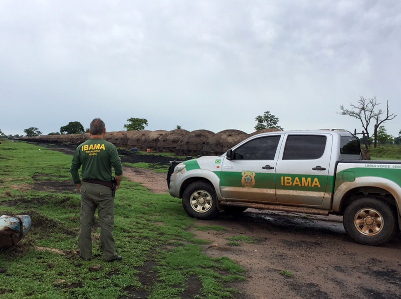 Ibama embarga fazenda de carvão no Pantanal 