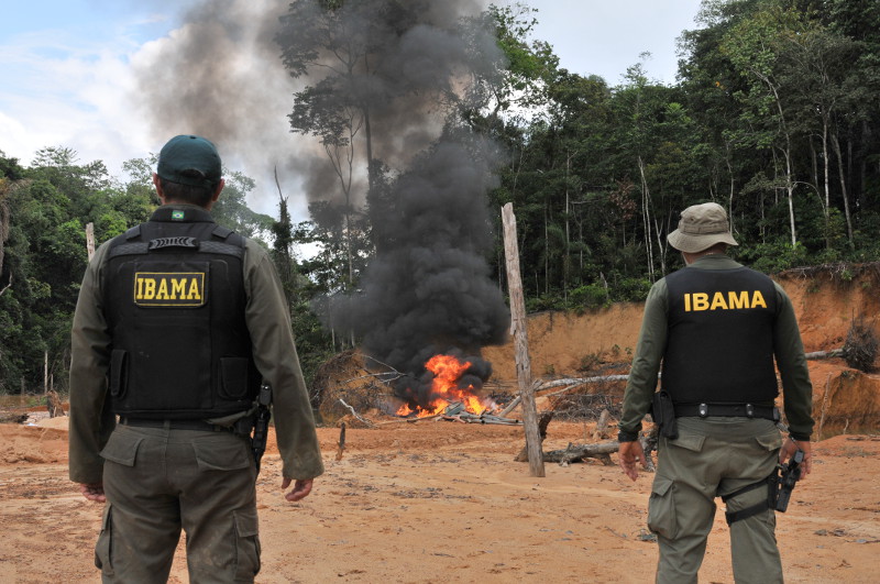 Operação Ibama Foto: Ibama