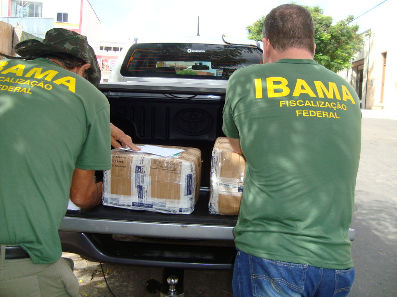 Operação Ibama Foto: Ibama