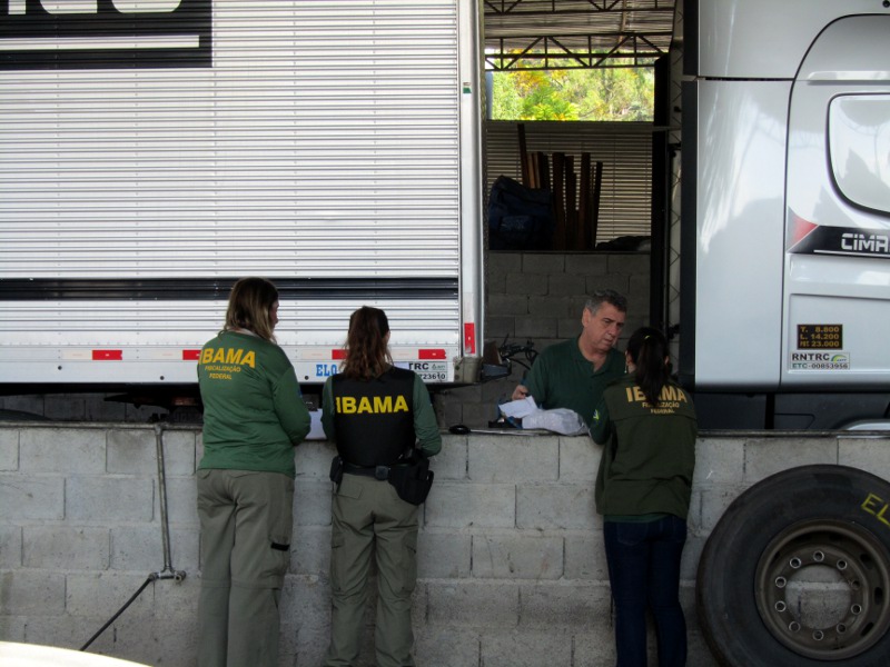 Fiscais Ibama Foto: Ibama