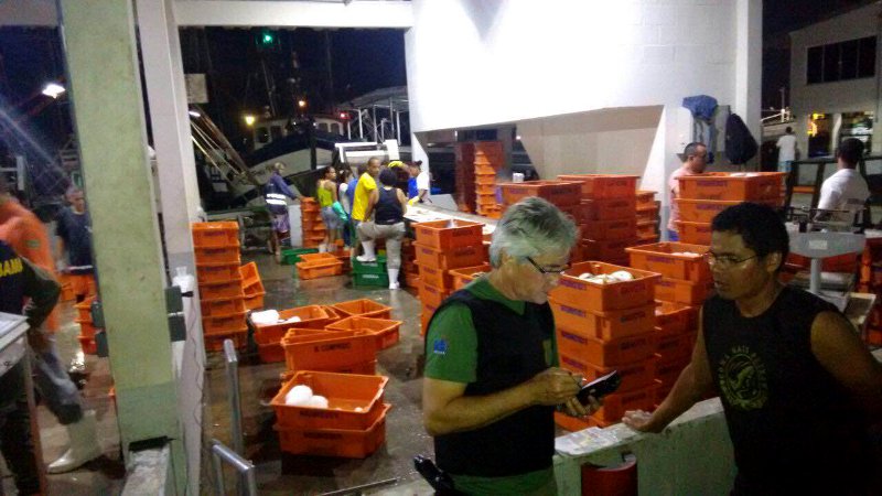 Operação Mareados Foto: Ibama