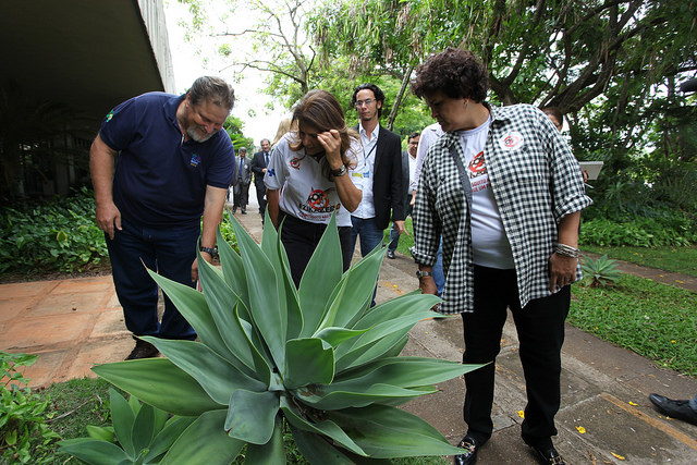 Ministra Izabella Teixeira