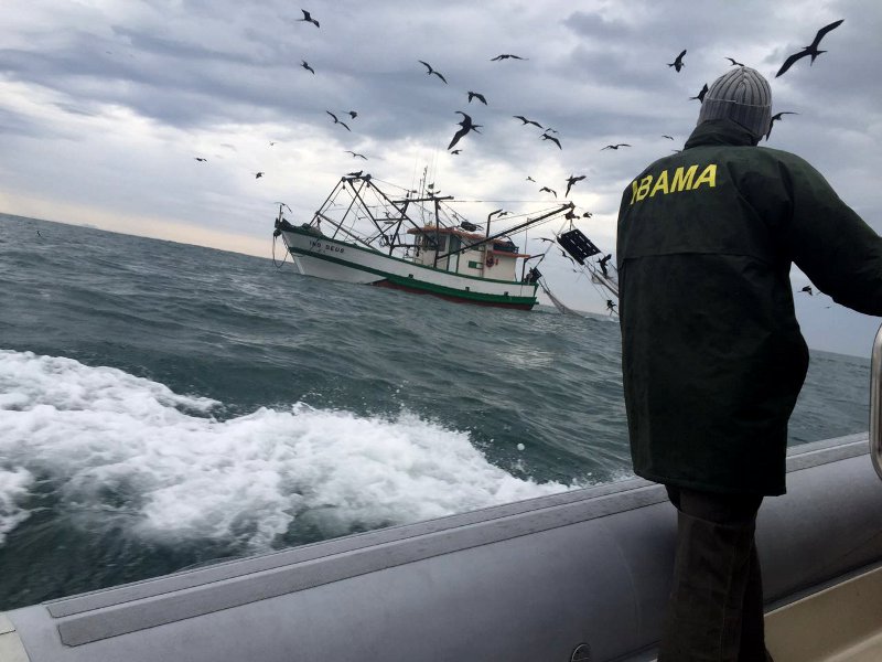 Operação Defeso do Camarão Foto: Ibama