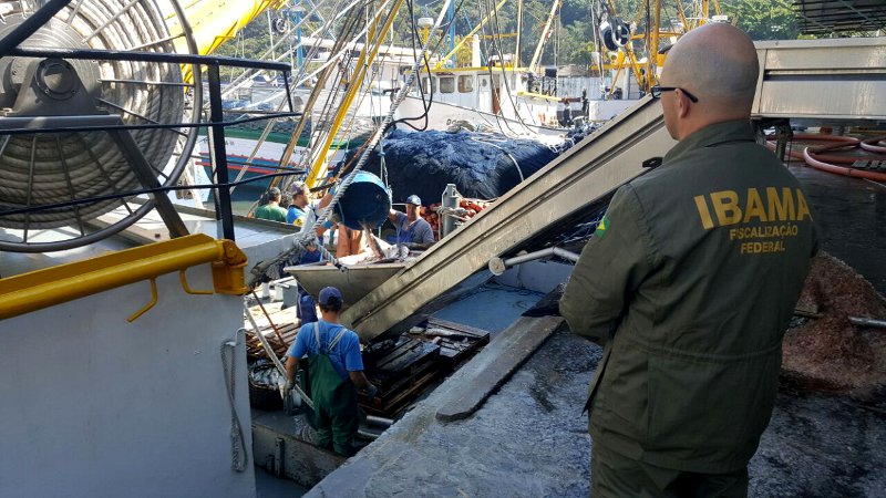 Operação Mareados Foto:Ibama