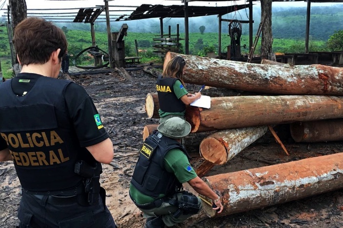 Agentes do Ibama e da Polícia Federal na operação Maravalha Foto: Polícia Federal