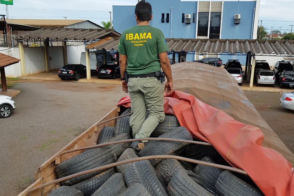 Agente do Ibama vistoria carga de pneus usados importados do Paraguai Foto: Ibama