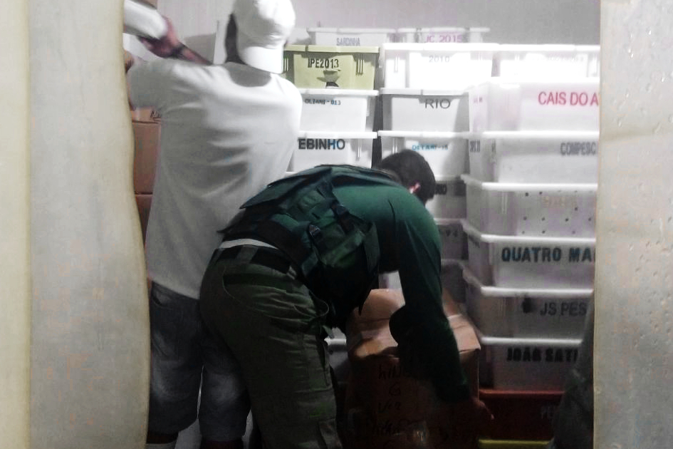 Agente ambiental apreende pescado em frigorífico de Guaratuba, no Paraná Foto: Ibama