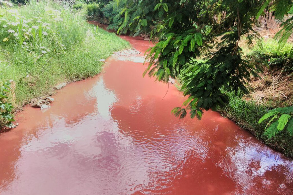 Minério de ferro lançado após rompimento de duto da Anglo American atinge Ribeirão Santo Antônio do Grama, em MG Foto: Ibama
